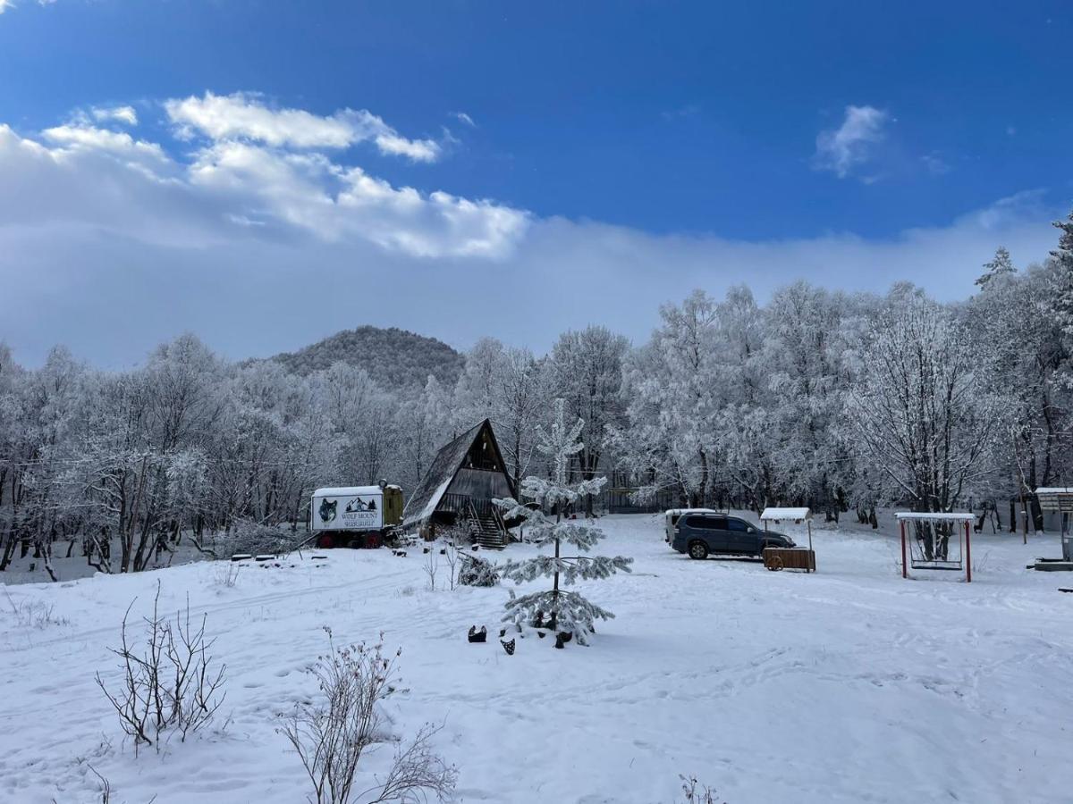 Glamping Wolf Mount Villa Margahovit Kültér fotó