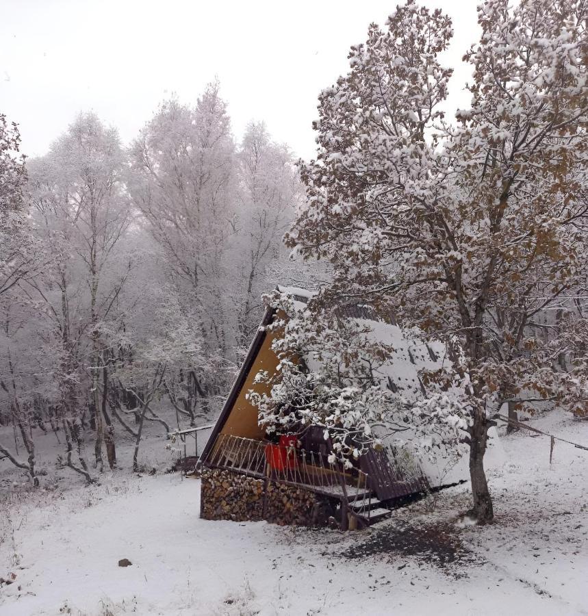 Glamping Wolf Mount Villa Margahovit Kültér fotó