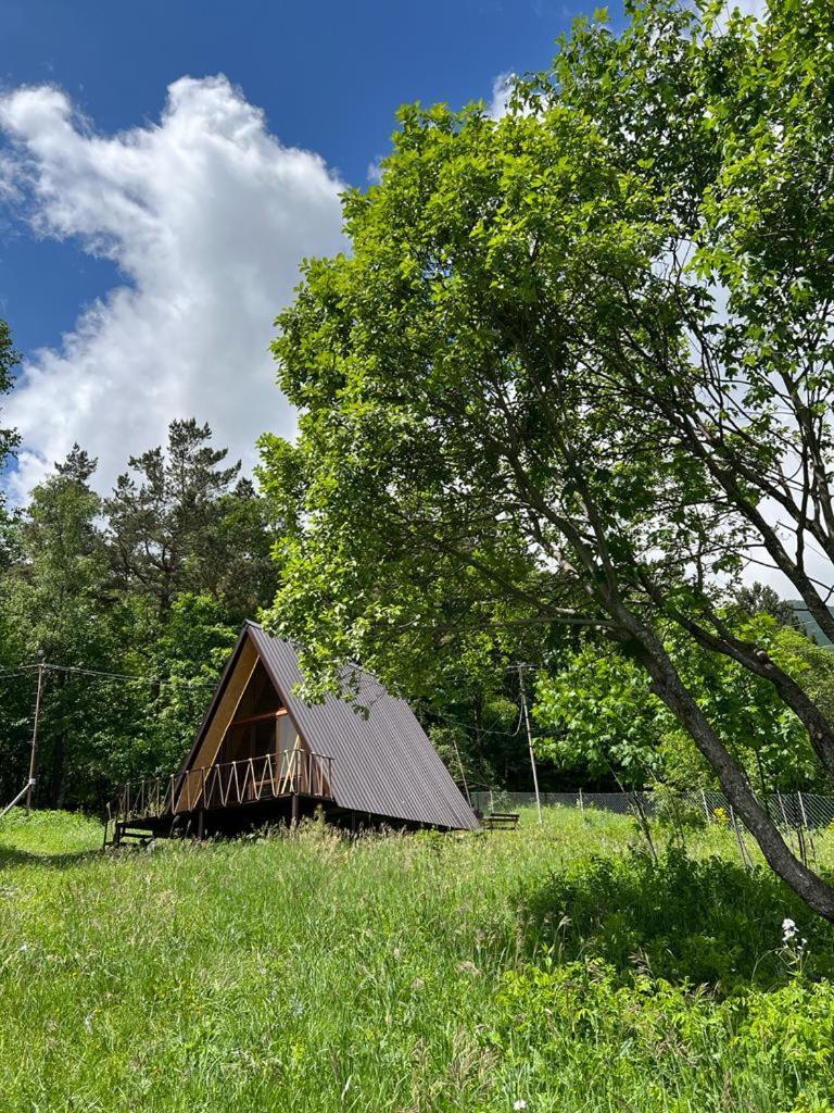 Glamping Wolf Mount Villa Margahovit Szoba fotó