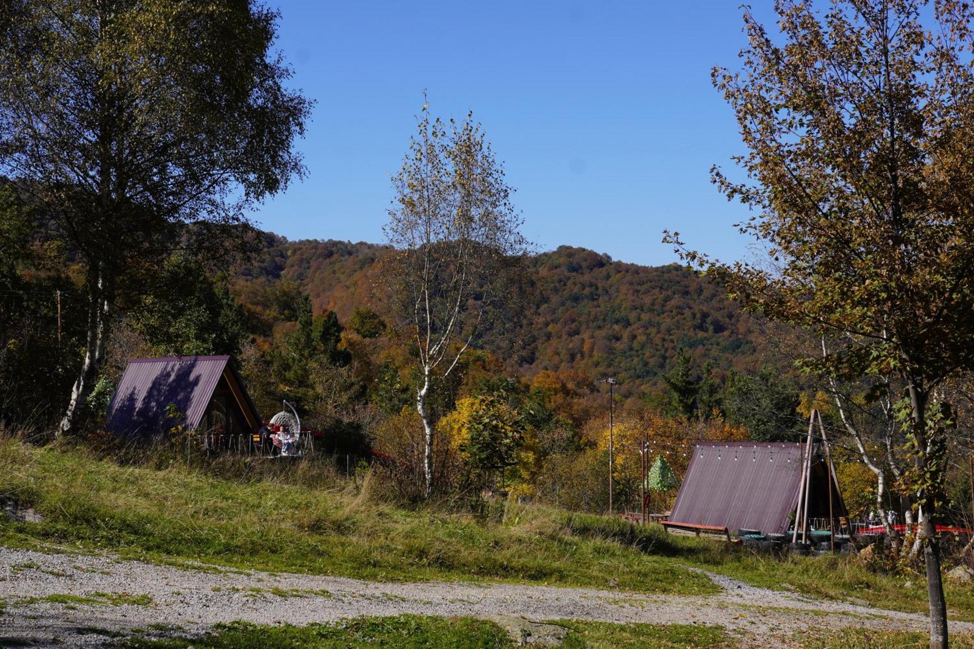 Glamping Wolf Mount Villa Margahovit Kültér fotó
